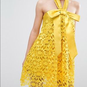 NWT ASOS Salon A-line Lace Dress